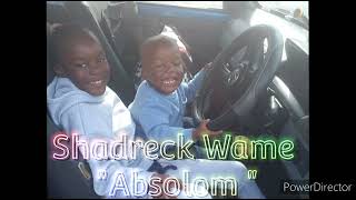 Shadreck Wame  Absolom [upl. by Normalie]