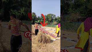 এভাবে দুষ্টামি করলো comedy funny video comedy funny funnyvideos shorts [upl. by Esmeralda]