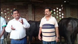 successful entrepreneur dairy farming [upl. by Lon]