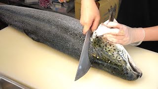 How To Fillet a Whole Salmon  Sashimi amp Sushi Taiwanese street food [upl. by Occir]