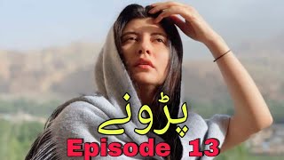 Pashto drama Parone Episode 13 [upl. by Ahseit]