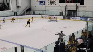 Live streaming of Mankato Peewee A 2024 [upl. by Sheley]