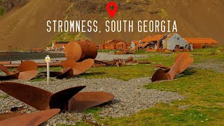 Stromness South Georgia 4K [upl. by Viviene502]