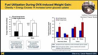 LMP Grand Rounds EGiles 13Nov2024 [upl. by Namyac]