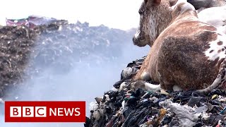 Fast fashion The dumping ground for unwanted clothes  BBC News [upl. by Inaffyt]