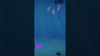 Generating Electricity with Buoys Harnessing Wave Energy [upl. by Bigford255]