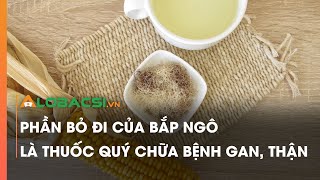 Phần bỏ đi của bắp ngô là thuốc quý chữa bệnh gan thận [upl. by Adnolor]