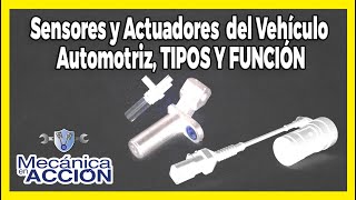 Sensores y Actuadores del vehículo automotriz TIPOS Y FUNCIÓN [upl. by Ardua]