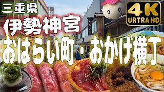 【三重県伊勢神宮】おはらい町ampおかげ横丁でグルメ食べ歩き！ [upl. by Zared89]