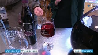 Cest votre tour  quotDu grain à la crèmequot  tout sur le cassis de Bourgogne [upl. by Nirrok]