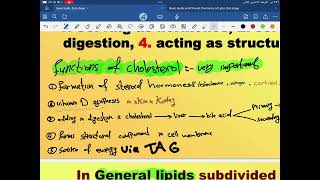 Biochemistry Lipid Metabolism second year part 2 [upl. by Ona]