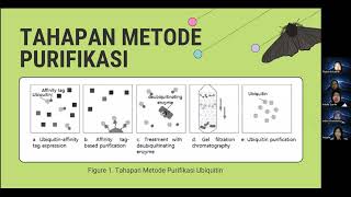 Method of Purifying Ubiquitin Protein  Rekayasa Protein Group 3 [upl. by Euqilegna542]