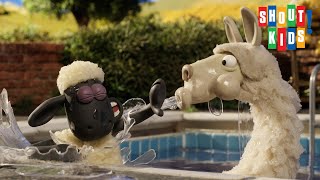 Shaun the Sheep The Complete Series  Clip Farmers Llamas [upl. by Eelynnhoj]