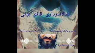 shalla qaim hovy srdari new song slow reverb song lyrics new 2024 [upl. by Addison]