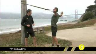 TRX quotTquot Deltoid Fly [upl. by Yenreit]