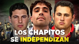 LOS CHAPITOS podrían ABANDONAR el Cártel de Sinaloa para enfrentar al CJNG [upl. by Patricio605]