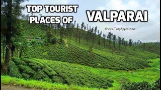 Valparai  Valparai Tourist Places  Top 10 Tourist Attractions of Valparai [upl. by Husha]