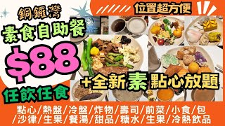 【港飲港食】抵食88 素食自助餐全新素點心放題 ‖ 近百款素食 任飲任食 ‖ 點心 熱盤 冷盤 炸物 壽司 天婦羅 沙律 前菜 小食 湯 冷熱飲品 甜品 糖水 ‖ 銅鑼灣 樂園素食 [upl. by Charil]