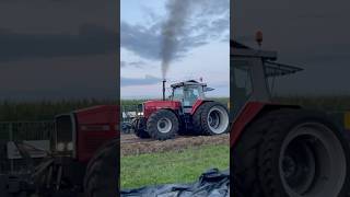 MF 3690 PURE SOUND 💨‼️ farming diesel power country agricultura tractor masseyferguson [upl. by Lontson]