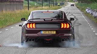 Ford Mustang 50 V8 Royal Crimson GT Performance  BURNOUT amp SOUND [upl. by Bendicta]