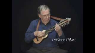 Quiero ser tu sombra  Héctor Soto  Charango  Musica instrumental andina [upl. by Airak]