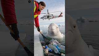 Young volunteers rescue a birthing mother whale and heal the ocean seaanimals [upl. by Natalya]