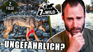 Schöne Begegnung oder gefährlich EXTeilnehmer reagiert auf 7 vs Wild Teams Folge 2  Otto [upl. by Davidoff472]