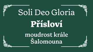 Přísloví  Moudrost krále Šalomouna  představení knihy  Jaroslav Kernal [upl. by Gilles]