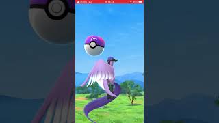 Catching Galarian Articuno with Masterball Pokémon Go [upl. by Codd]