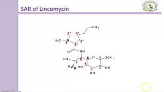 Lincomycin antibiotics [upl. by Halvaard]