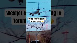 Westjet smooth landing in Toronto canada aviation yyzplanespotting [upl. by Fernas937]