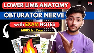 Lower Limb Anatomy Obturator Nerve  MBBS 1st Year  Full Explanation With Exam Notes  MBBS World [upl. by Farley]