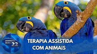 Fundação Zoofoz em São Paulo oferece terapia assistida com animais selvagens [upl. by Gamin]