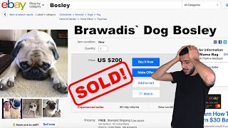 PUTTING OUR DOG UP FOR SALE Crazy Reaction [upl. by Puna]