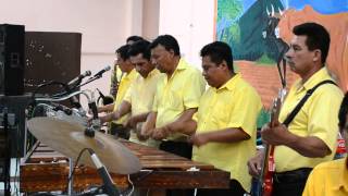 Marimba Hermanos Salazar del ejido Francisco Villa de Villaflores chiapas [upl. by Levon]