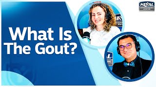 What Is The Gout  Inflammatory Arthritis [upl. by Pas]