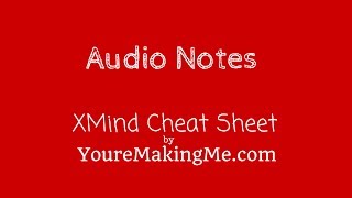 Audio Notes  XMind Pro  Business Toolbox [upl. by Theron719]