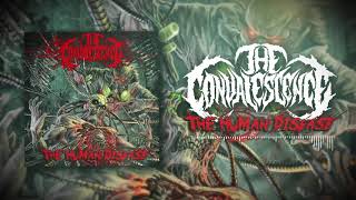 The Convalescence quotThe Human Disease 20quot Official Stream [upl. by Eelatsyrc]