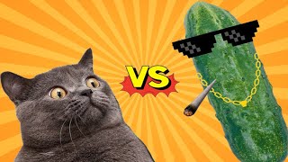 🤣🐈😽TRY NOT TO LAUGH 🐈Cats vs Cucumbers Compilation Funniest Moment When Cat Scared [upl. by Viradis]