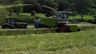 Cutting Whole Crop Triticale With a Claas 900 [upl. by Sheley]