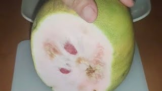 🔴Lets peel and cut papaya and pomelo [upl. by Malim286]