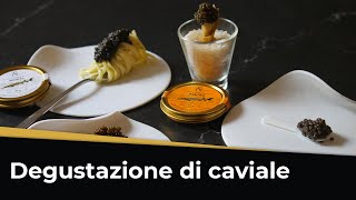 4 idee per APERITIVO CON IL CAVIALE  Beluga Asetra Kaluga e Baikal [upl. by Henrietta]