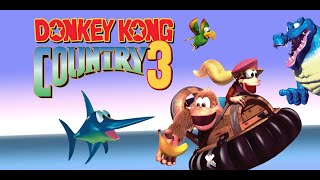 LIVE de Donkey Kong Country 3  Treino 30 [upl. by Norry]