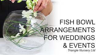 Different variations of Fish Bowl Flower Arrangements Facebook Live Video [upl. by Suez993]