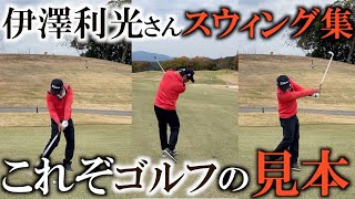 【貴重映像】これぞキングオブスイング！伊澤利光さんのお手本を何度も見てイメージを擦り込んで下さい！ドライバーからウェッジまで打って頂きました！絶品のロングアイアンをご覧下さい！＃ヨコシンゴルフレッスン [upl. by Fisk]