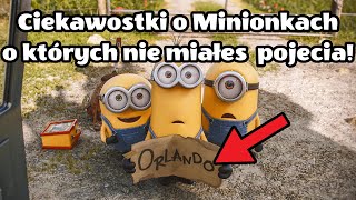 Minionki  Ciekawostki o ktorych nie miales pojecia [upl. by Baxy]