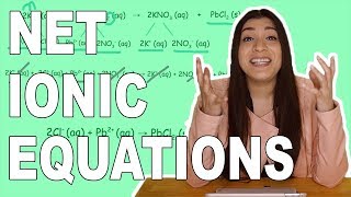 How to Write Complete Ionic Equations and Net Ionic Equations [upl. by Evander]