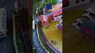 Une chaîne de buisson de chez noch et busch train miniature passion [upl. by Hako]