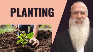 Mishnah Taanit Chapter 1 Mishnah 7 Planting [upl. by Yenduhc786]