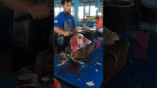 Big and fresh yellowfin tuna cutting skills by tuna cutting master [upl. by Ainer]